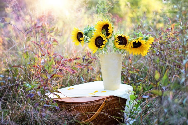 DIY Gardening Project